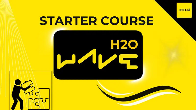 H2O Wave Starter Course