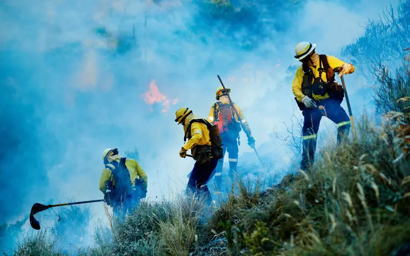 Firefighters on a smoking hillside