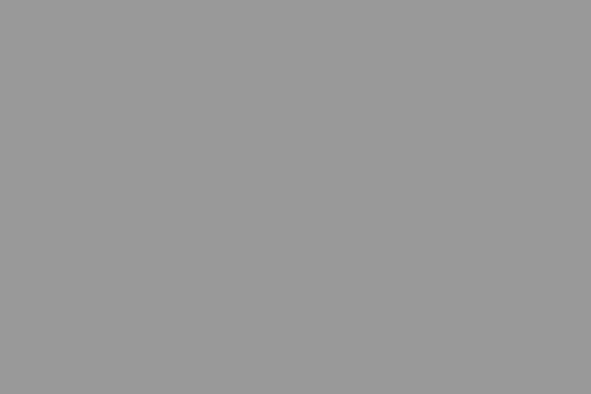 Medium Gray 1 swatch, #999999