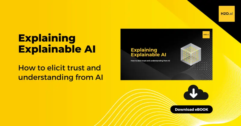 Explaining Explainable AI Ebook