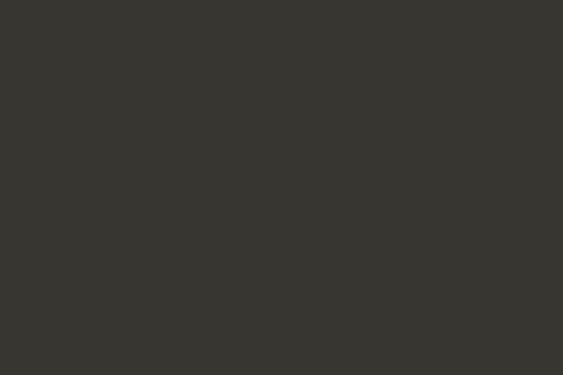 Dark Gray swatch, #373630