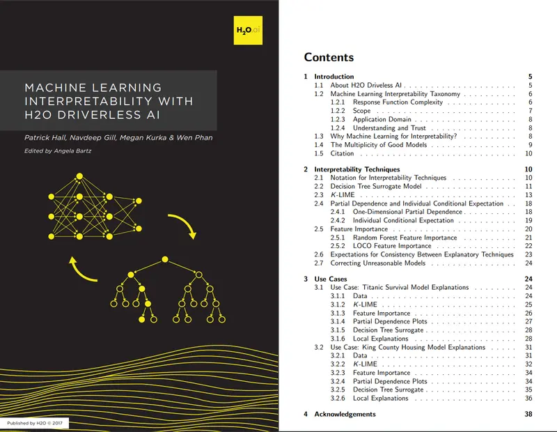 Machine Learning Interpretability with H2O Driverless AI (MLI) booklet