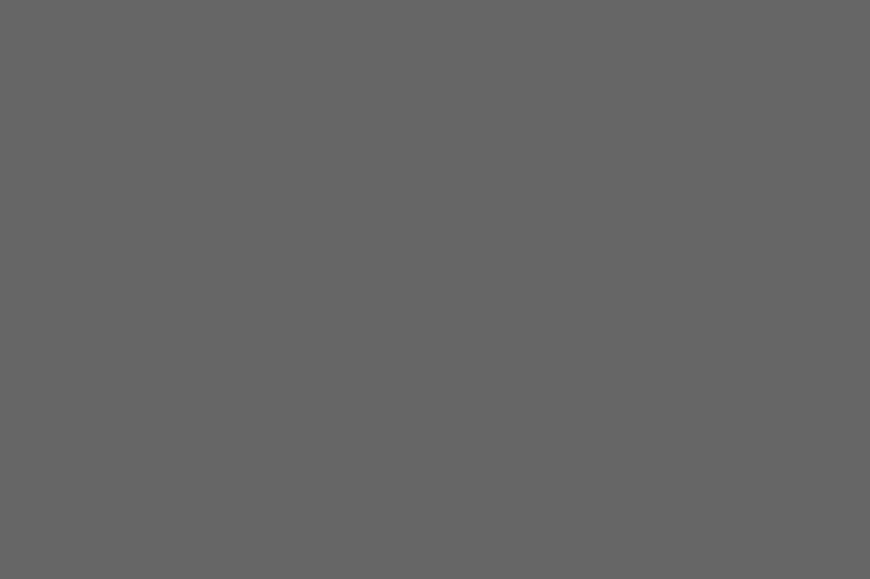 Medium Gray 2 swatch, #666666